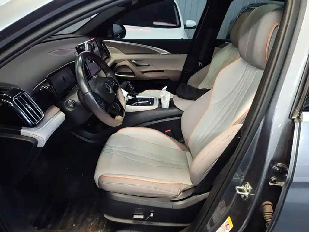 BYD Pro New Energy — миниатюра 15
