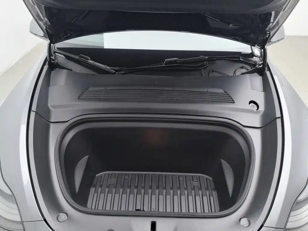 Tesla Model Y — миниатюра 6