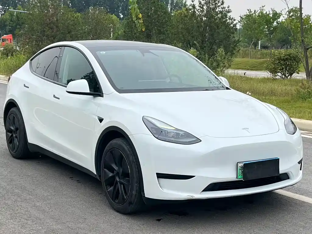 Tesla Model Y — миниатюра 3