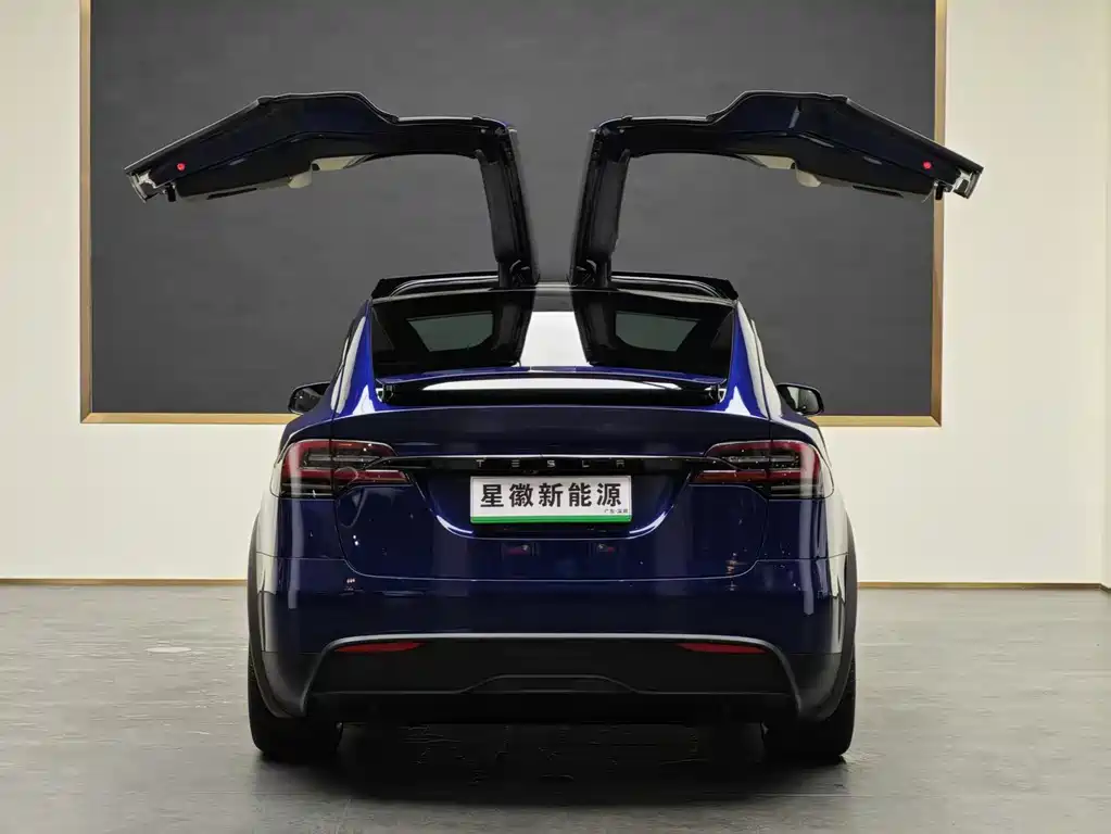 Tesla Model X — фотографии объявления, Фото 19