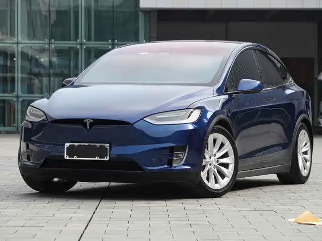 TESLA MODEL X 2019