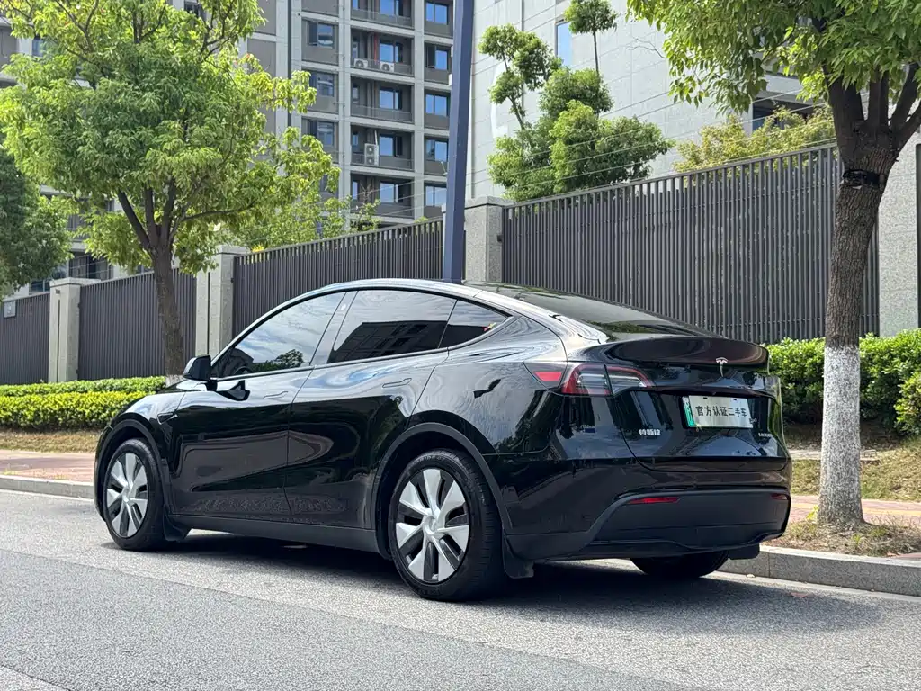 Tesla Model Y — миниатюра 9