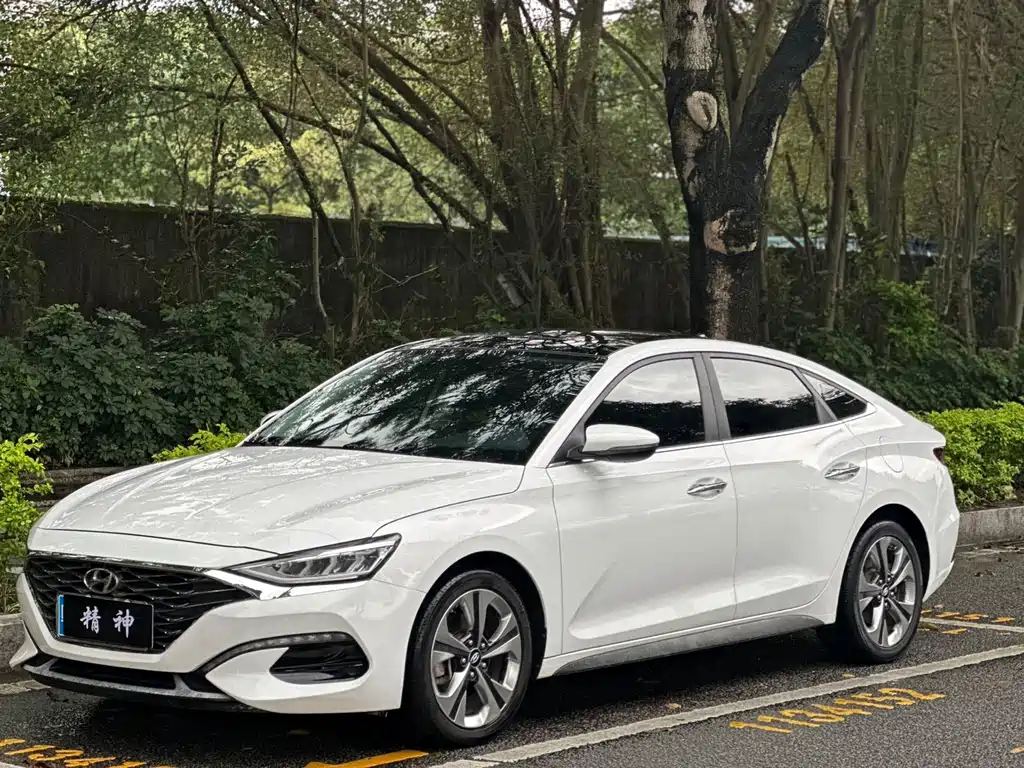 Hyundai Fista 2019