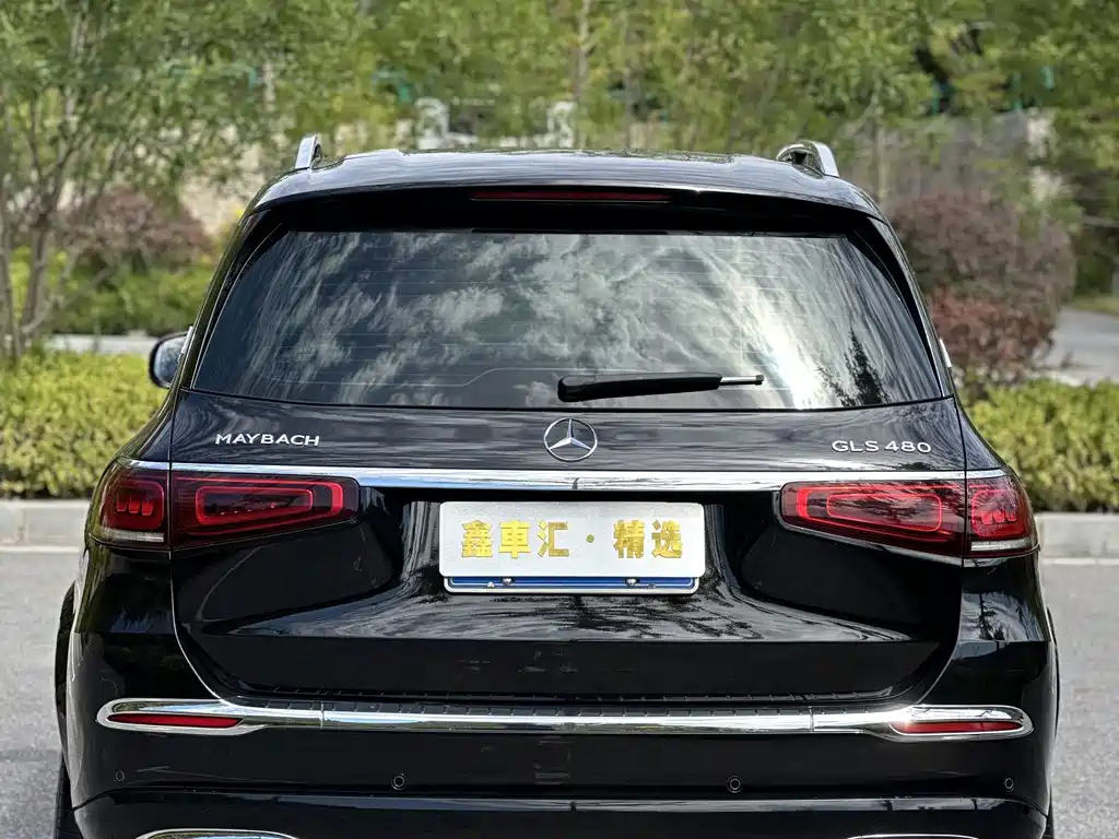 Mercedes-Benz GLS — миниатюра 5