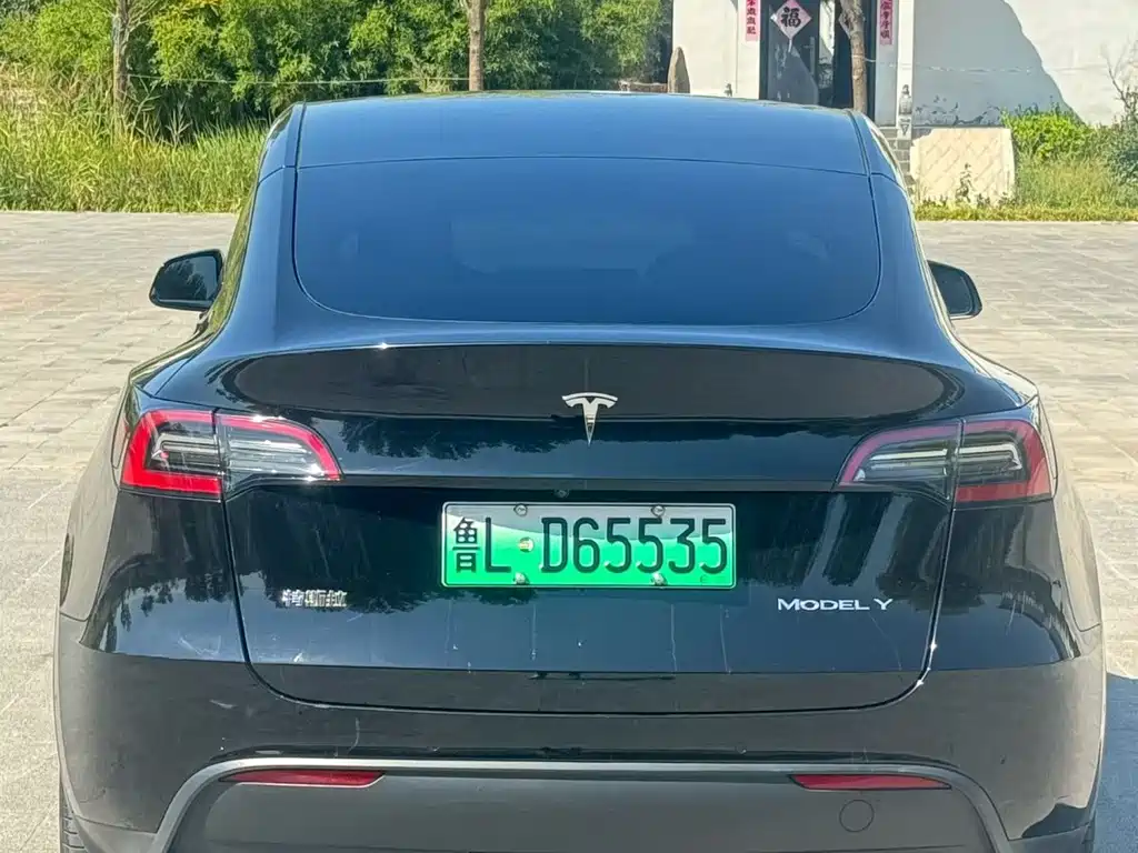Tesla Model Y — миниатюра 8