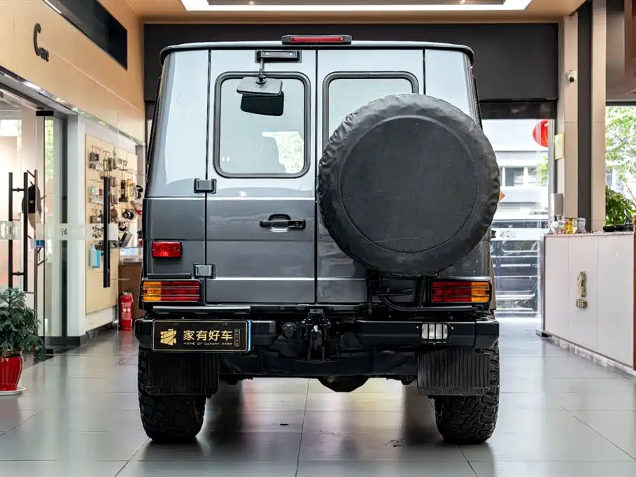 Mercedes-Benz G-Class G 2010 G300P