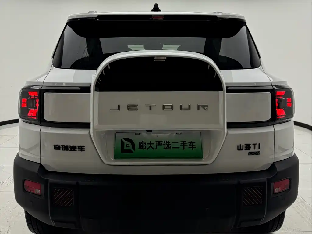 Shanhai Shanhai T1 — миниатюра 4