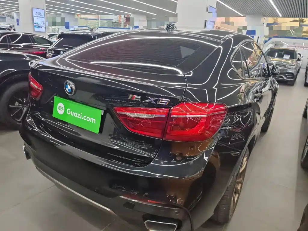 BMW X6 — миниатюра 21