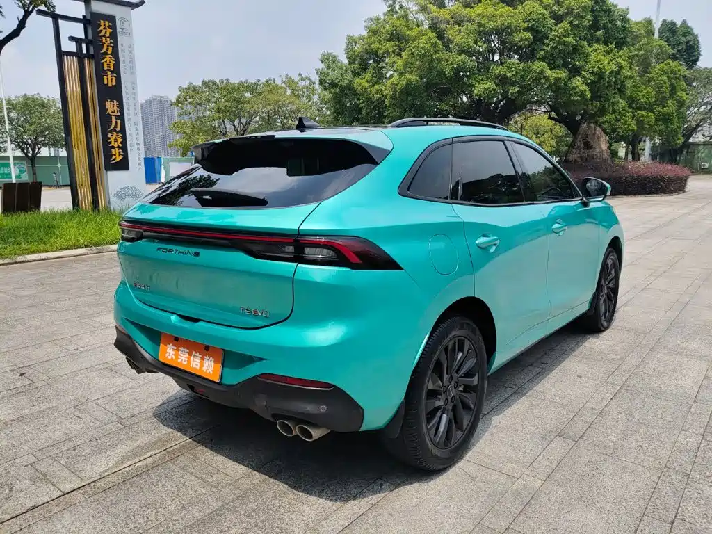 Fengxing Fengxing T5 EVO — миниатюра 5