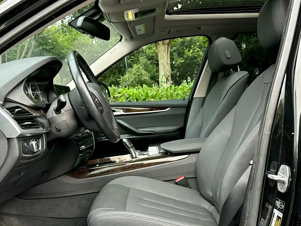 BMW X5 (Import) — миниатюра 2