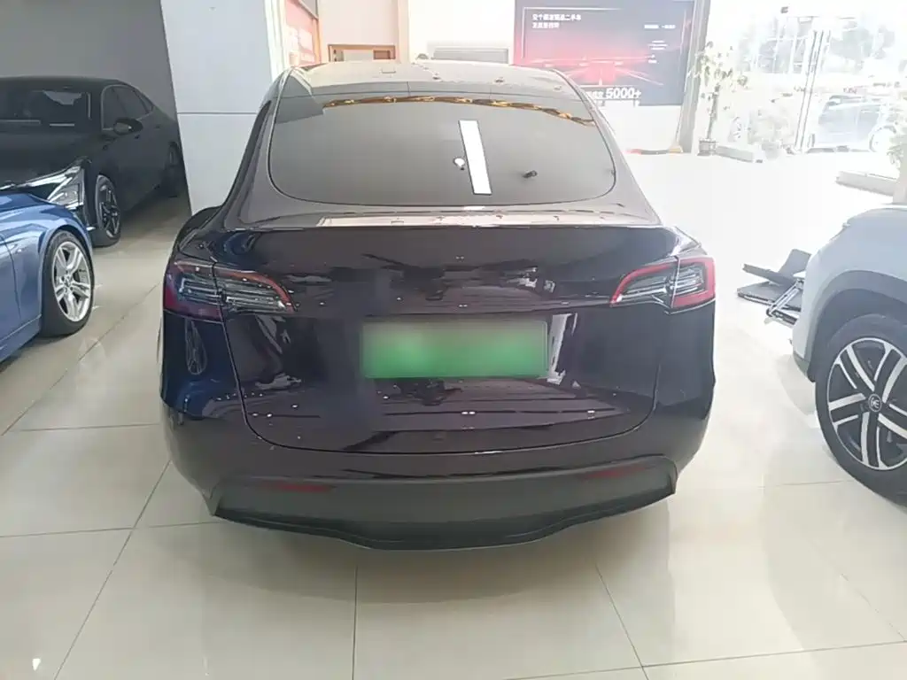 Tesla Model Y — миниатюра 6