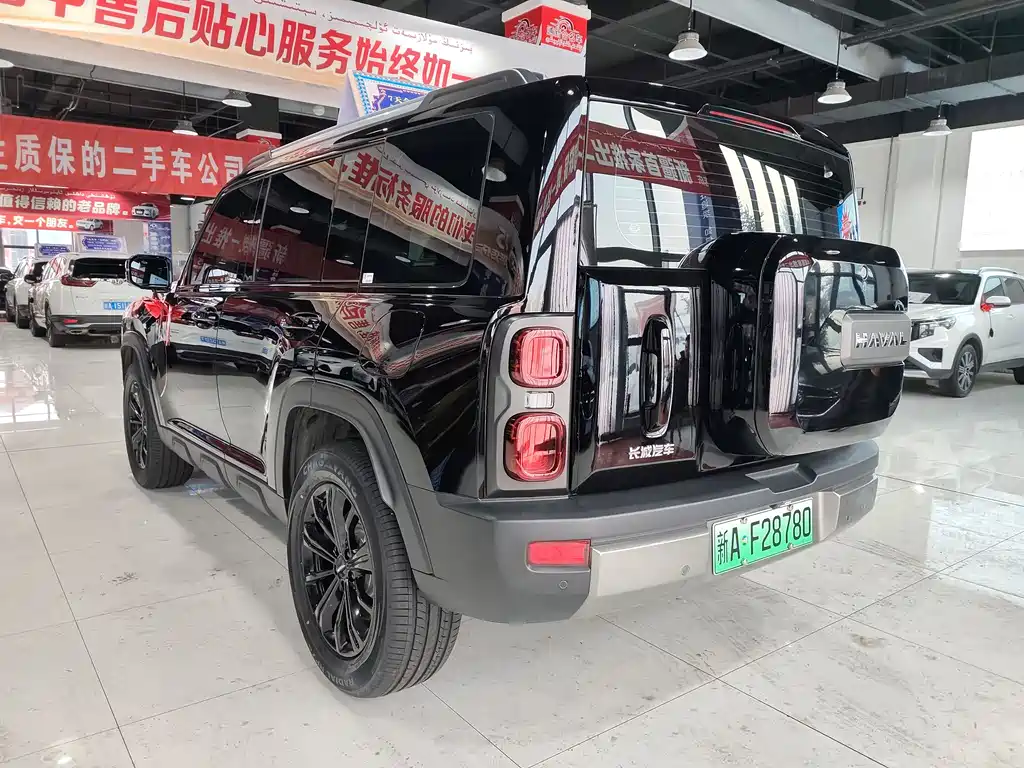 HAVAL RAPTORS NEW ENERGY