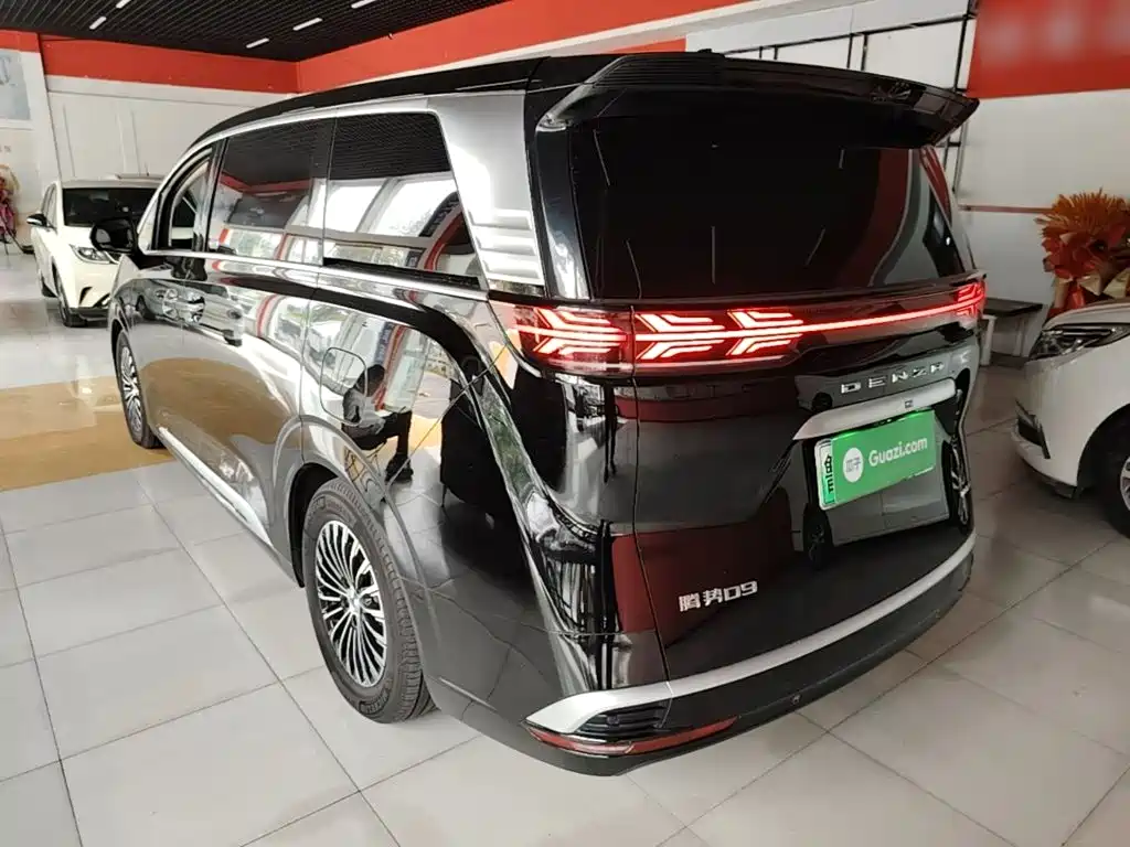 Denza Denza D9 — миниатюра 5