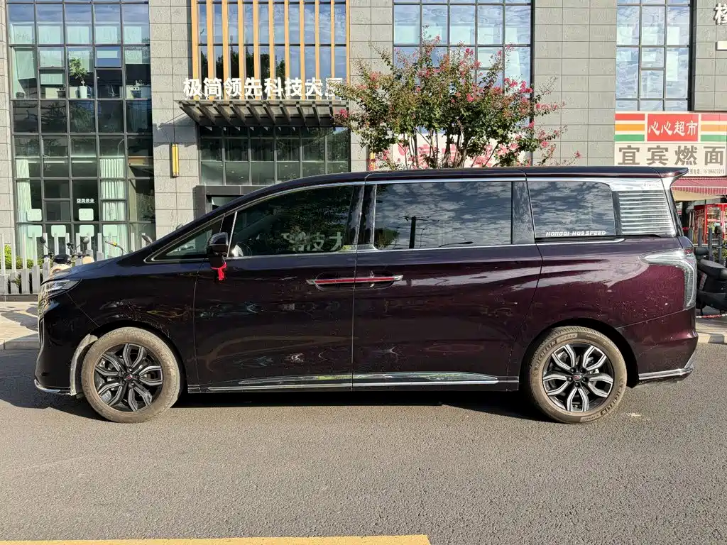 Hongqi Hongqi HQ9 — миниатюра 3