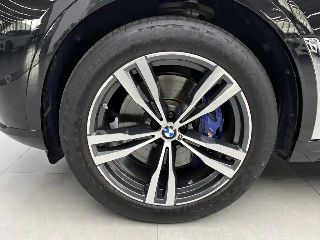 BMW X7 — миниатюра 8