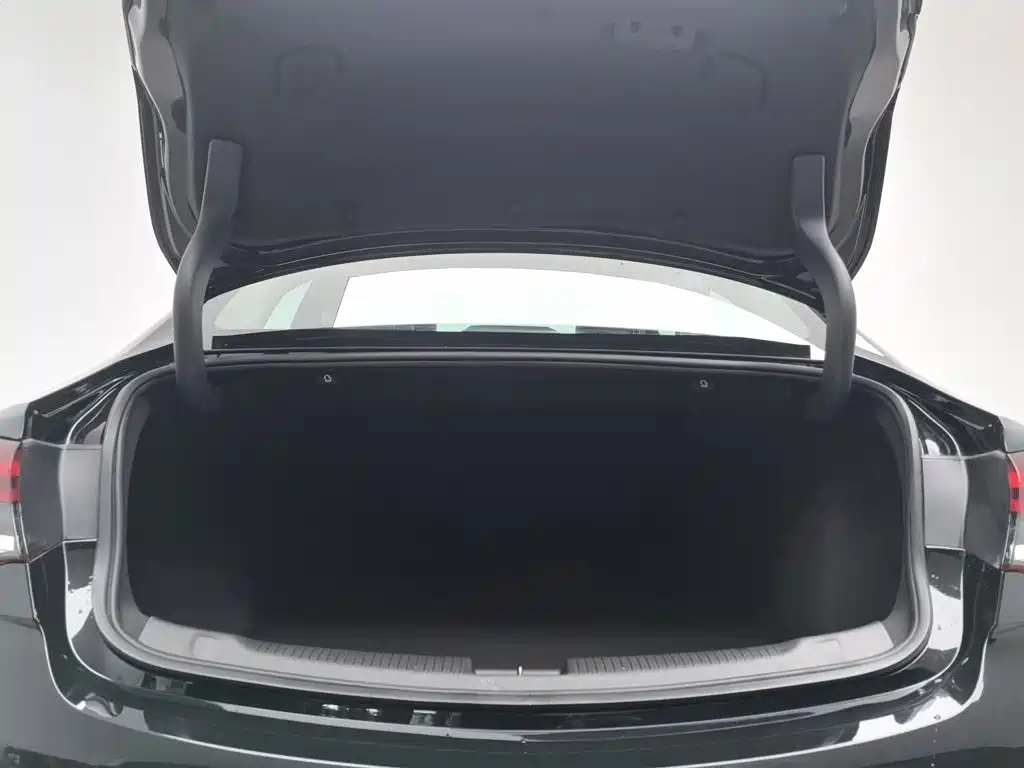 Buick Regal — миниатюра 16