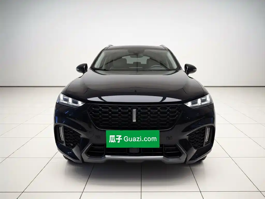 Wey Wey VV7 — миниатюра 2