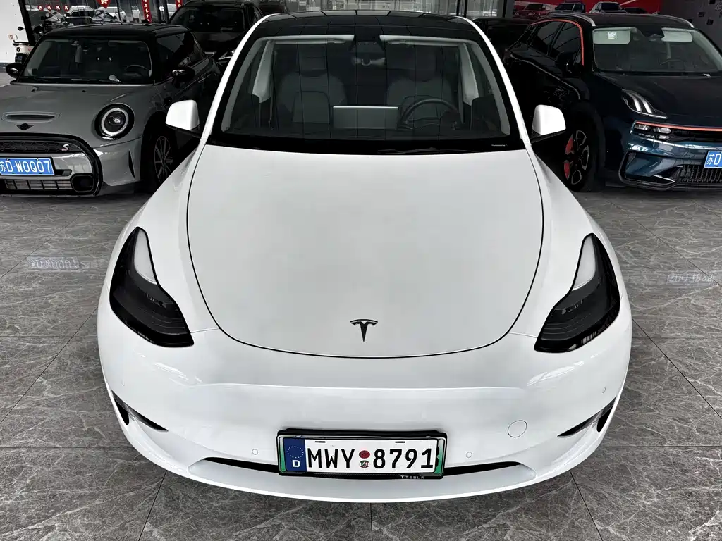 Tesla Model Y — миниатюра 2