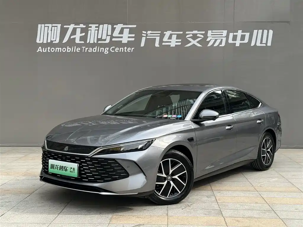 BYD QIN L
