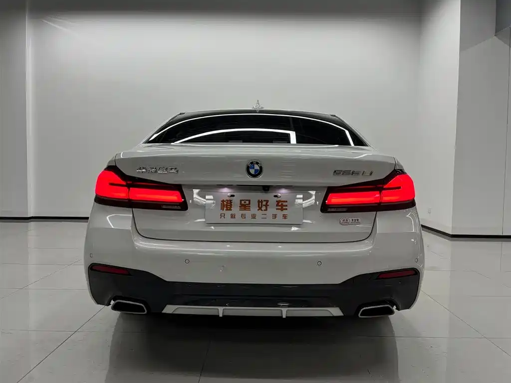 BMW 5 Series — миниатюра 5