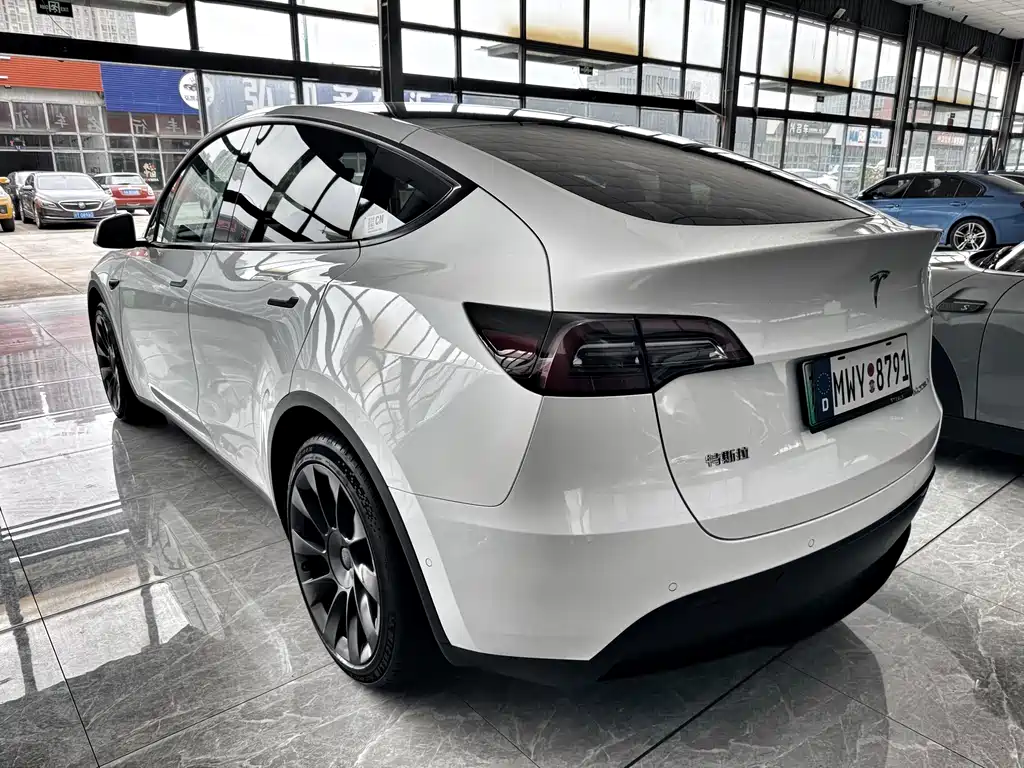 Tesla Model Y — миниатюра 4