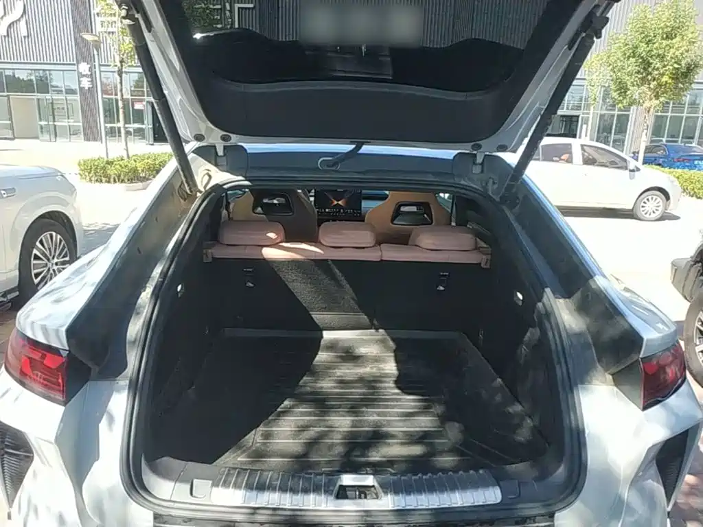 BYD L EV — миниатюра 19