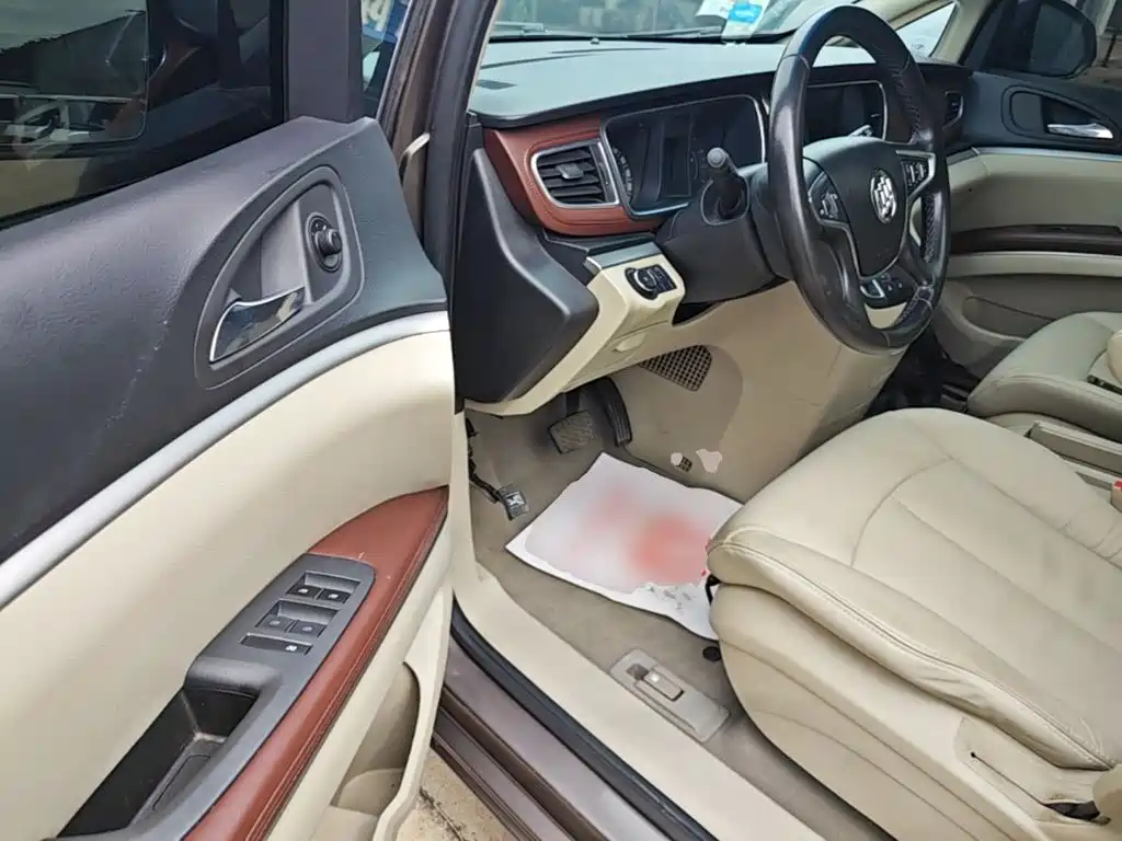 Buick GL8 — миниатюра 16
