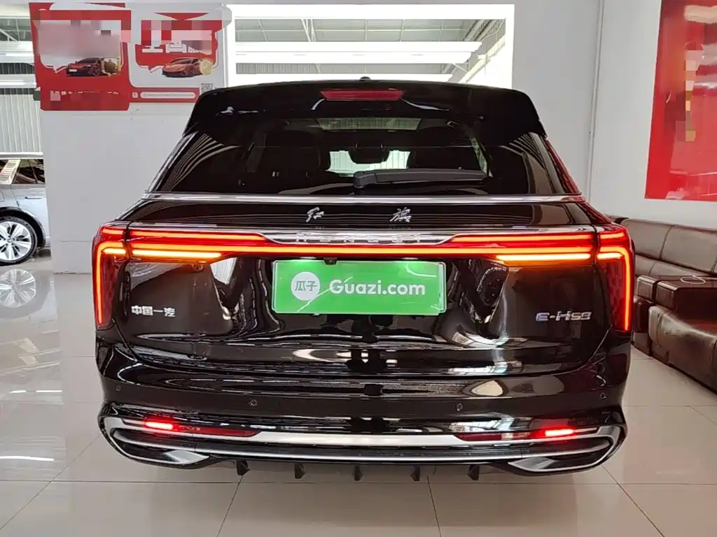 Hongqi Hongqi E-HS9 — миниатюра 6