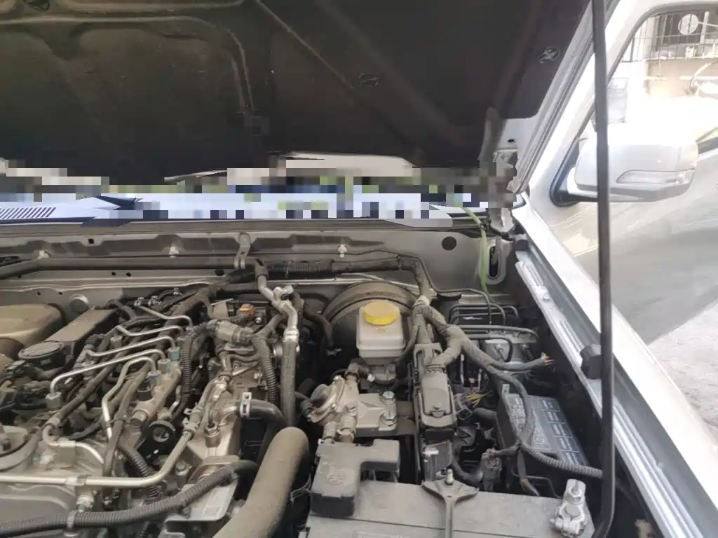 Dongfeng Rich — миниатюра 22