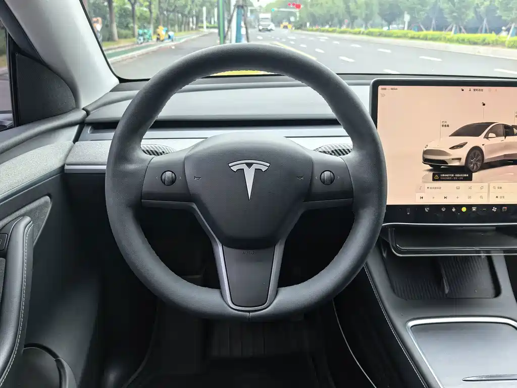 Tesla Model Y — миниатюра 10
