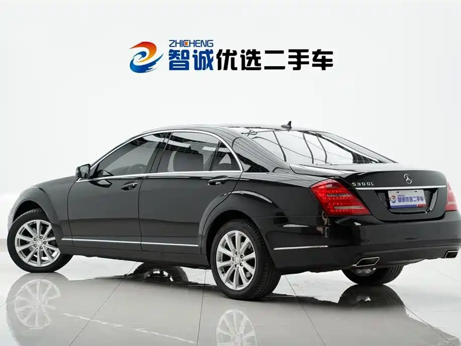 Mercedes-Benz S-Class S 2010 S 300 L Luxury