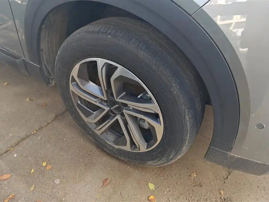 Haval Xiaolong — миниатюра 6