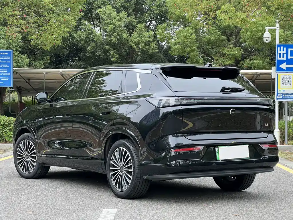 Aeolus L8 — миниатюра 20
