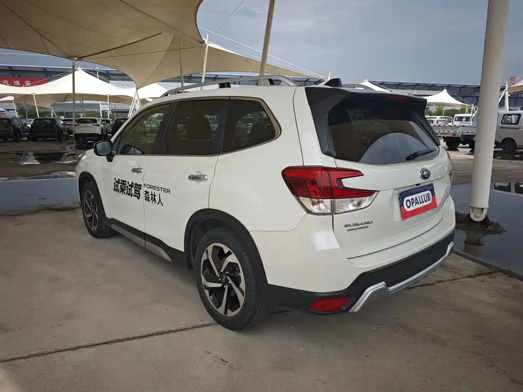 Subaru Forester — миниатюра 4