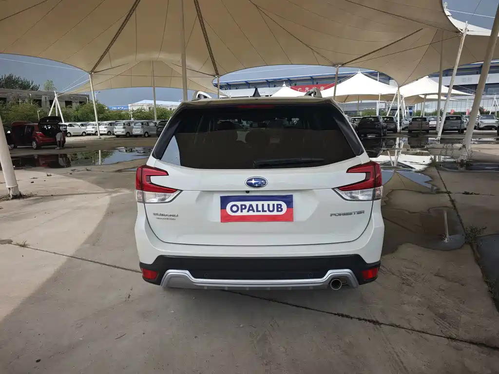 Subaru Forester — миниатюра 5