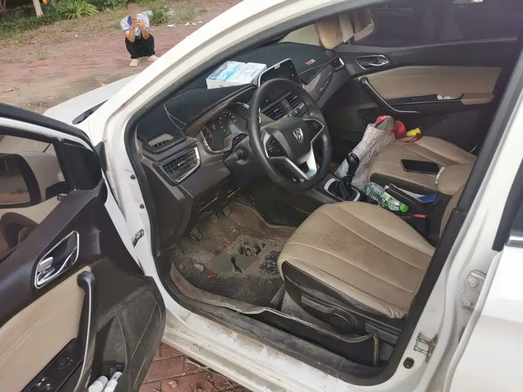 Baojun 310W — миниатюра 17