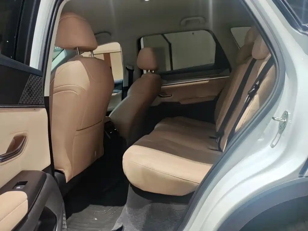 BYD Song Pro Pro 2025 DM-i 75KM Lead