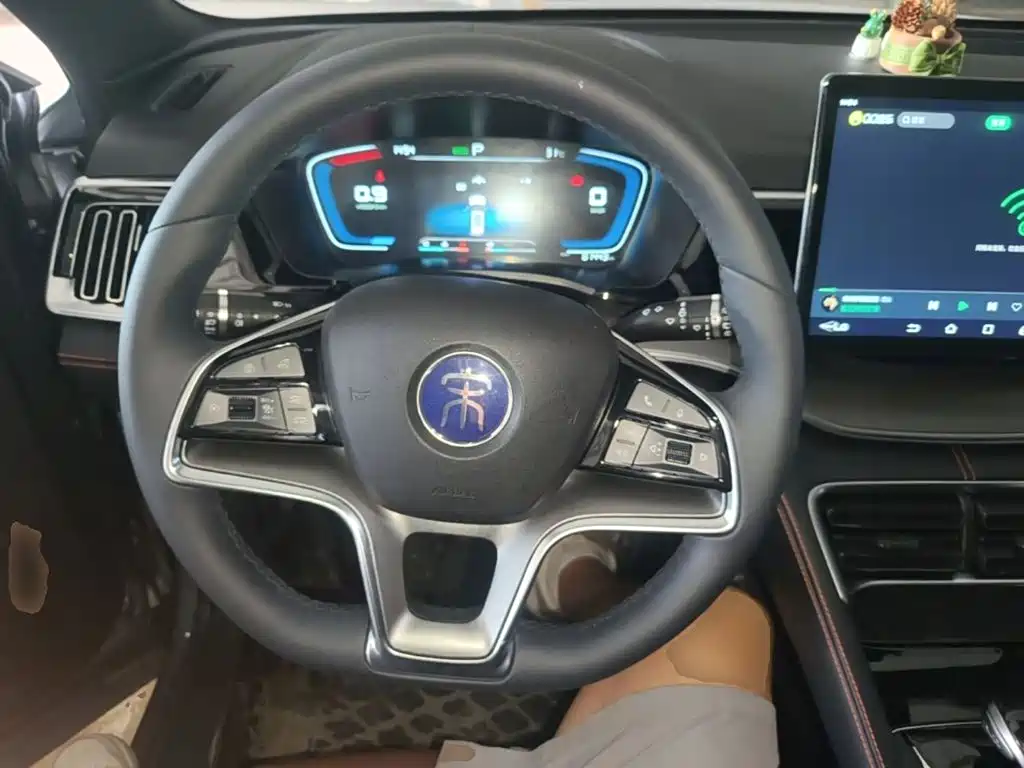 BYD PLUS — миниатюра 15