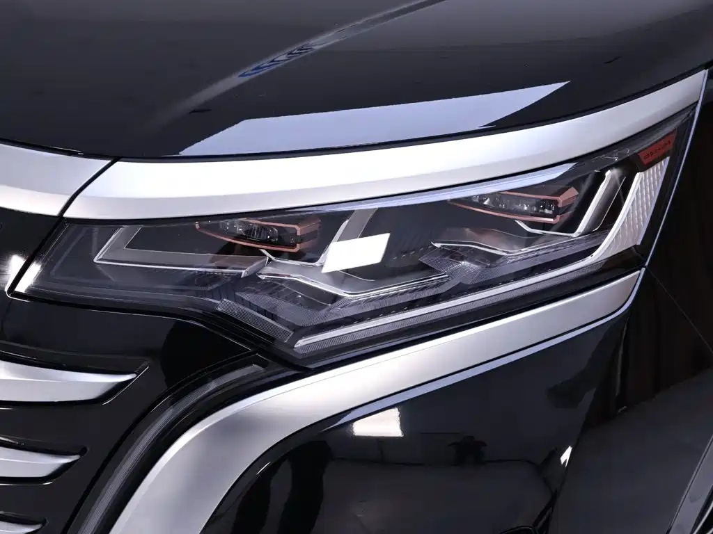 Denza Denza D9 — миниатюра 4