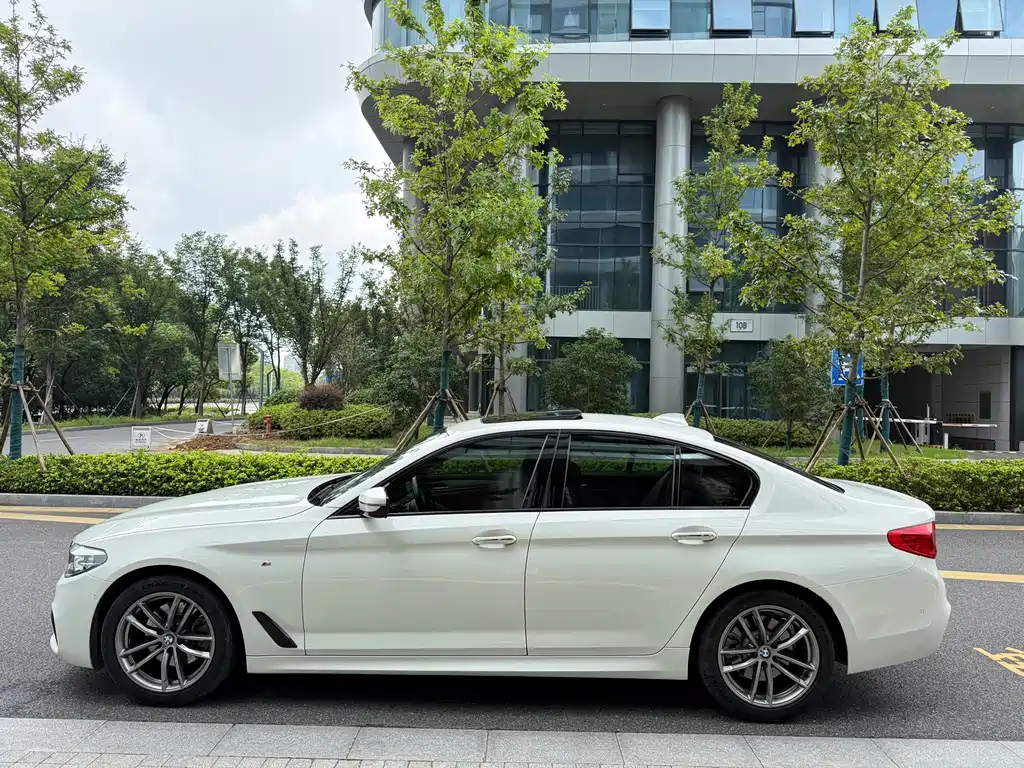 BMW 5 Series (Import) — миниатюра 4