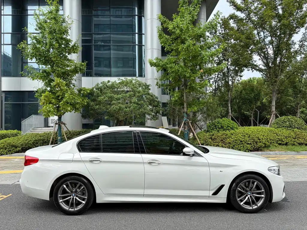 BMW 5 Series (Import) — миниатюра 9
