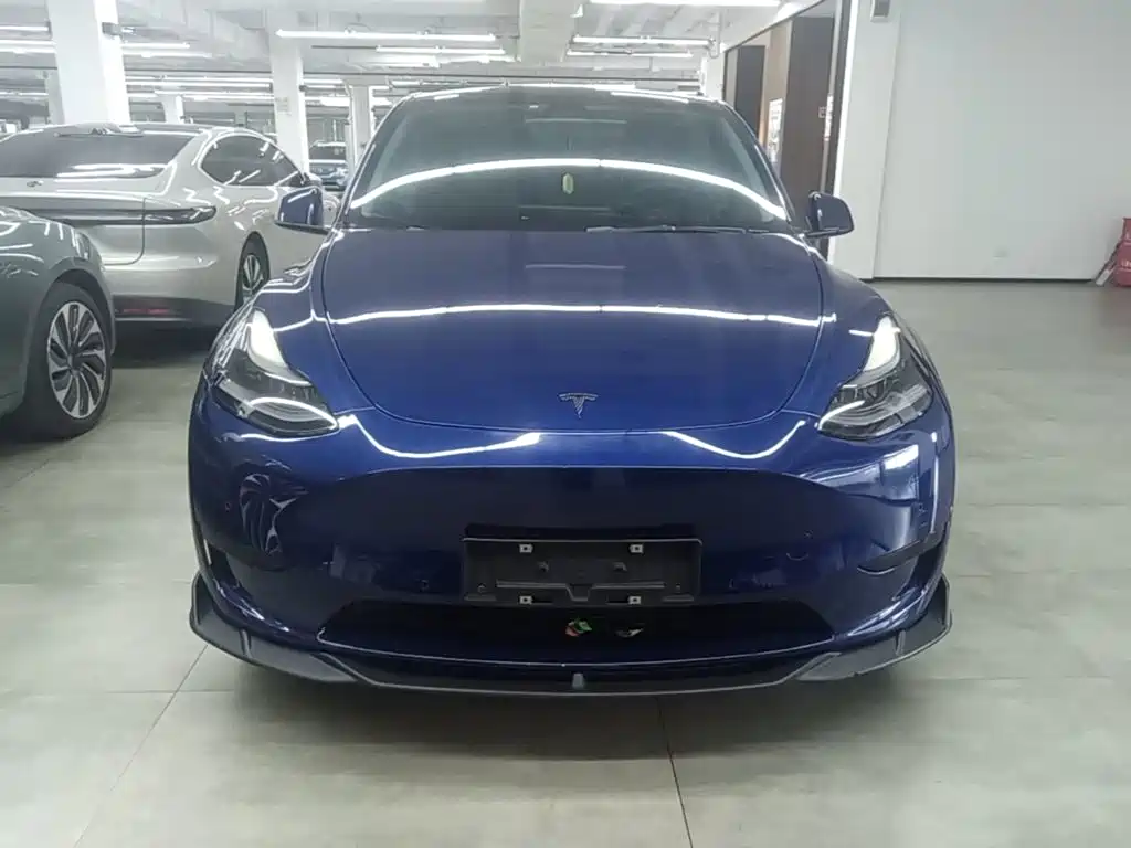Tesla Model Y — миниатюра 3