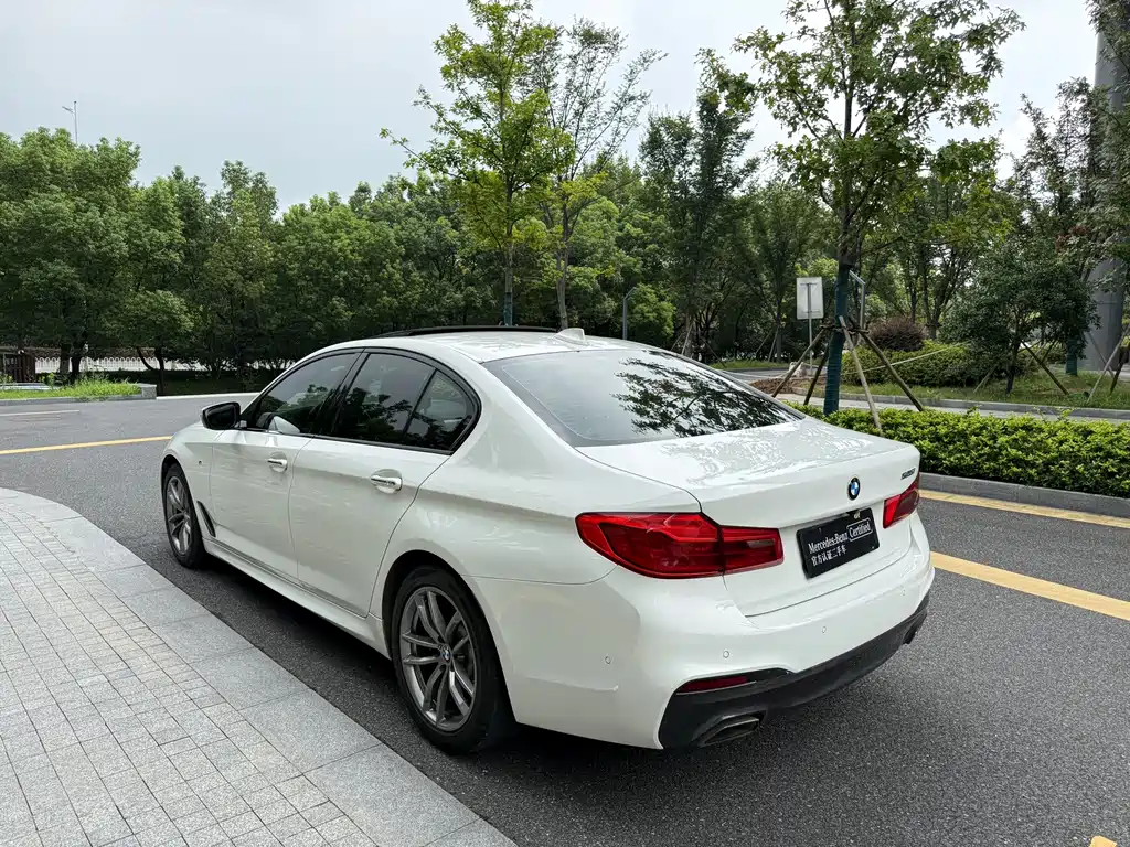 BMW 5 Series (Import) — миниатюра 5