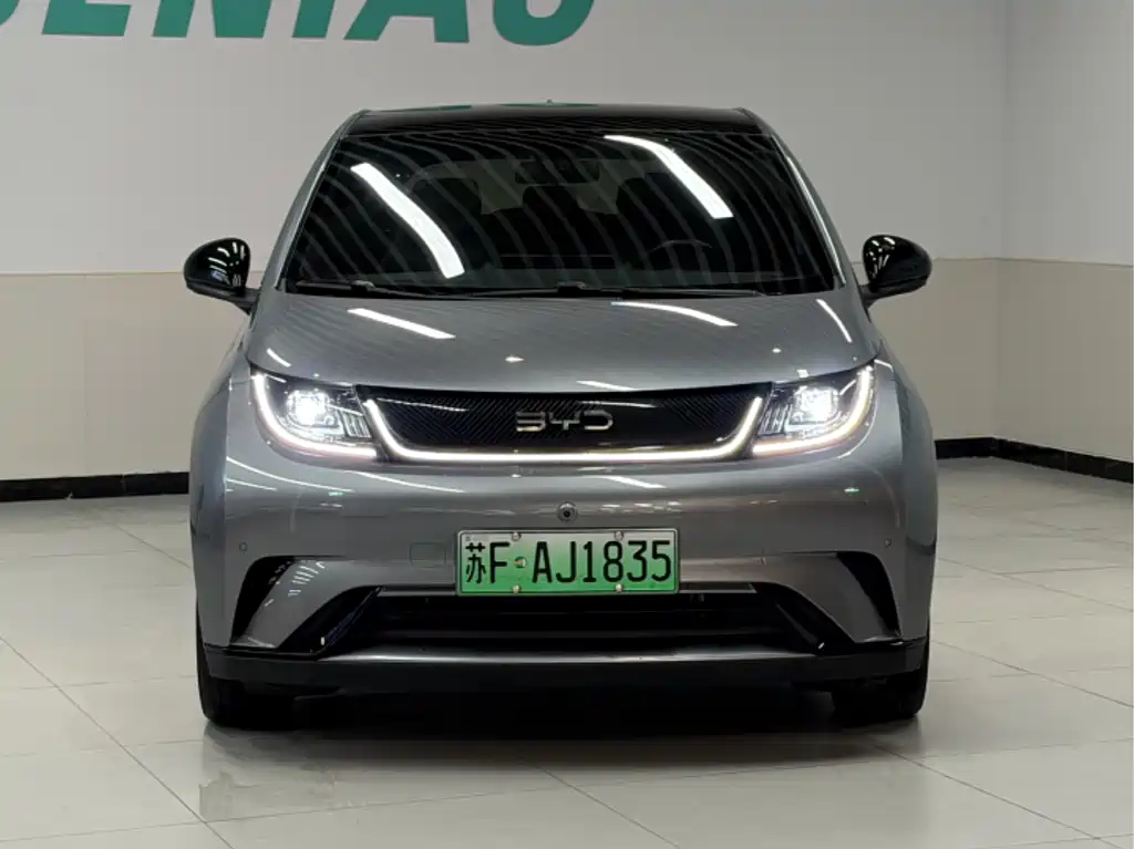 BYD Dolphin — миниатюра 2