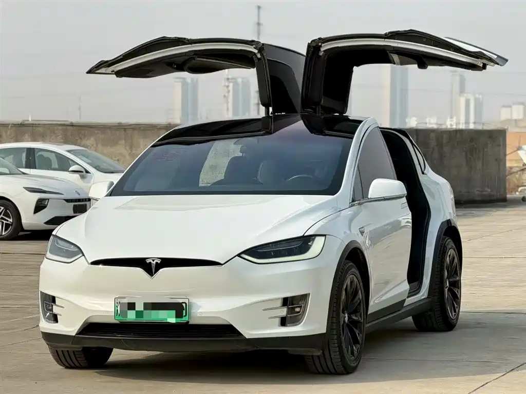 Tesla Model X 2019