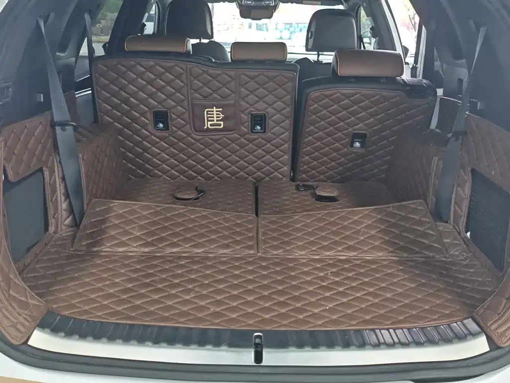BYD Tang New Energy — миниатюра 19