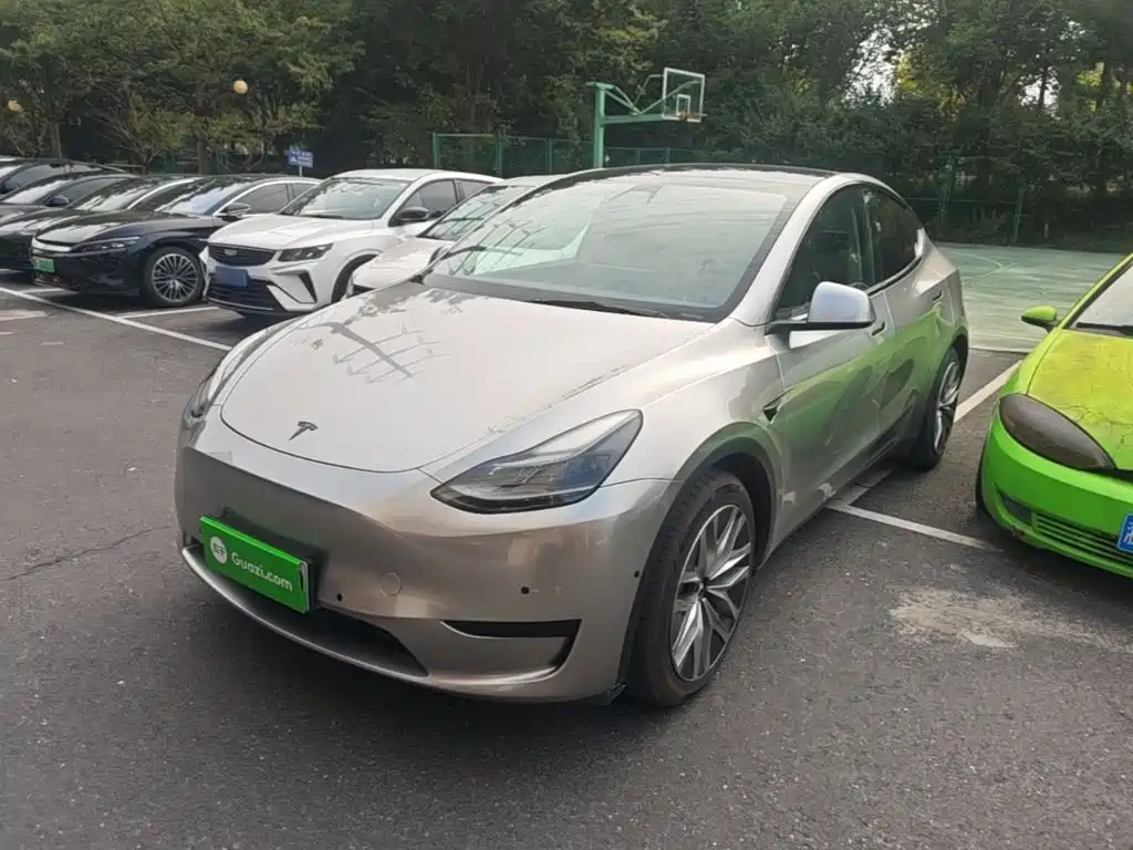 Tesla Model Y — миниатюра 2