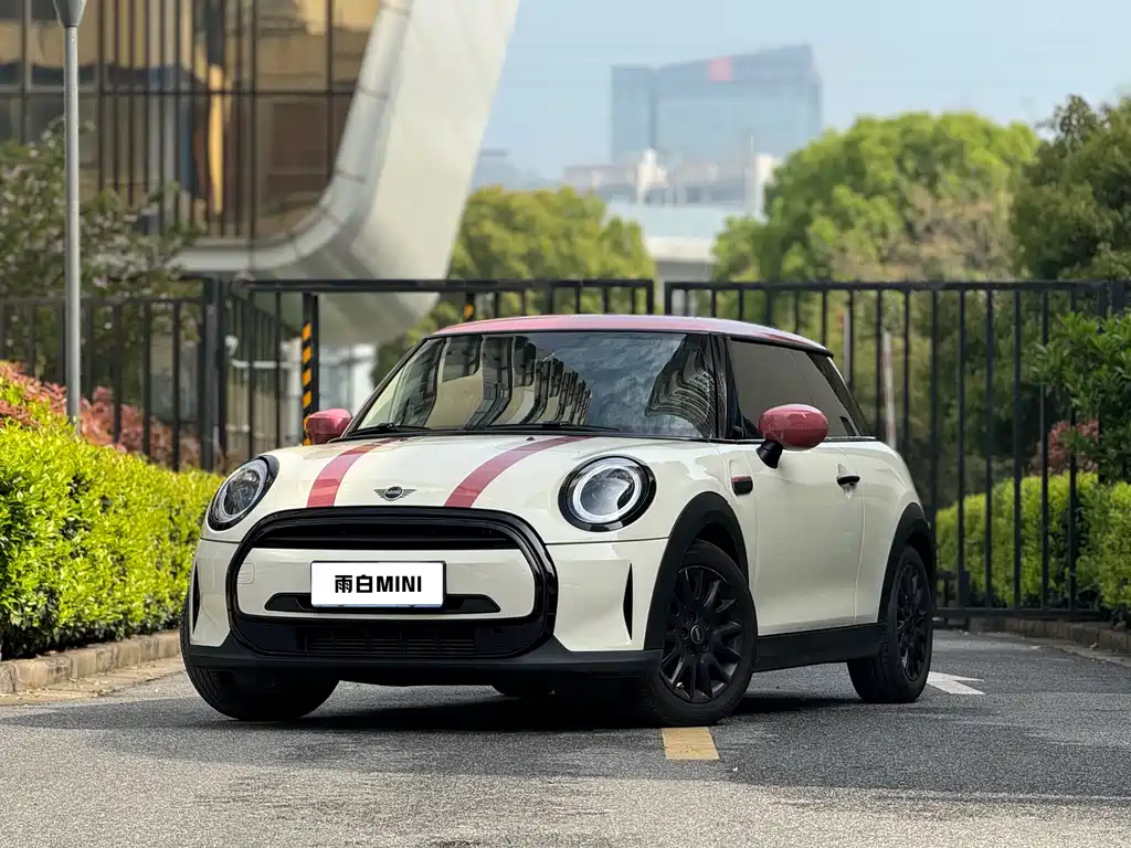 Mini Mini 2021