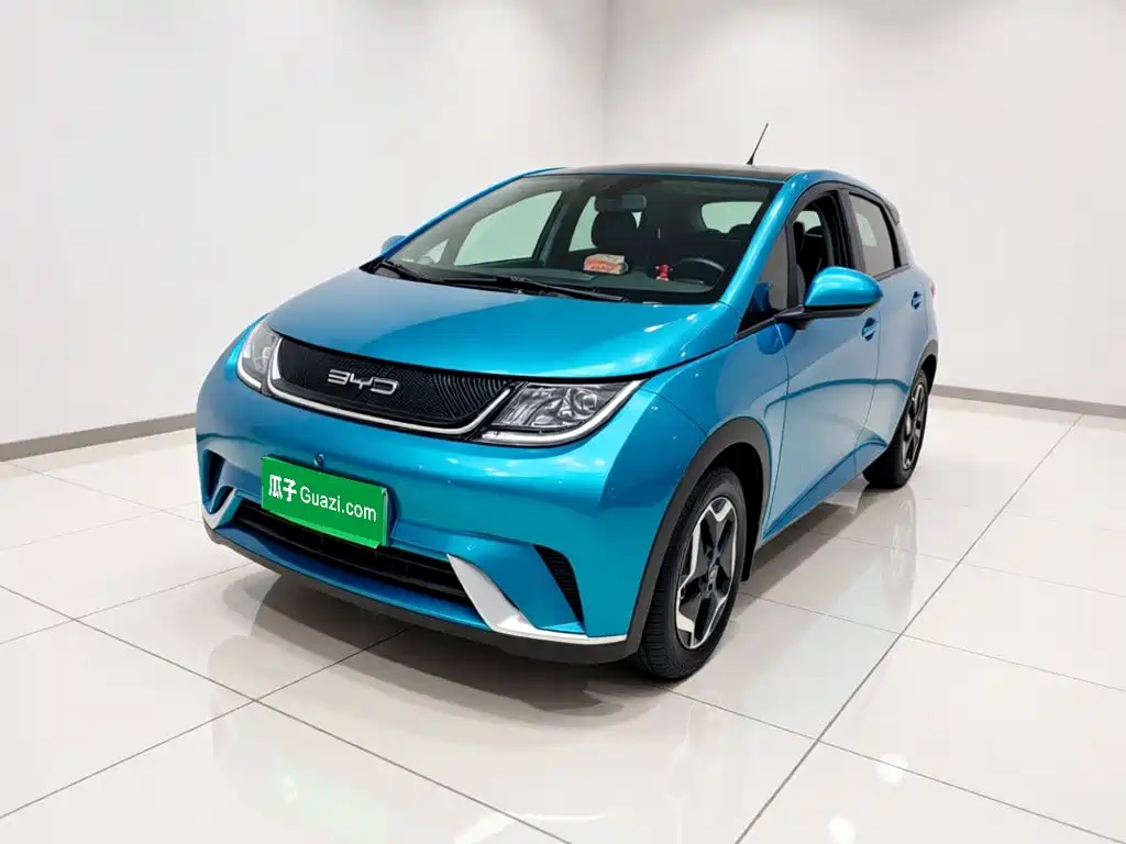 BYD Dolphin — миниатюра 2