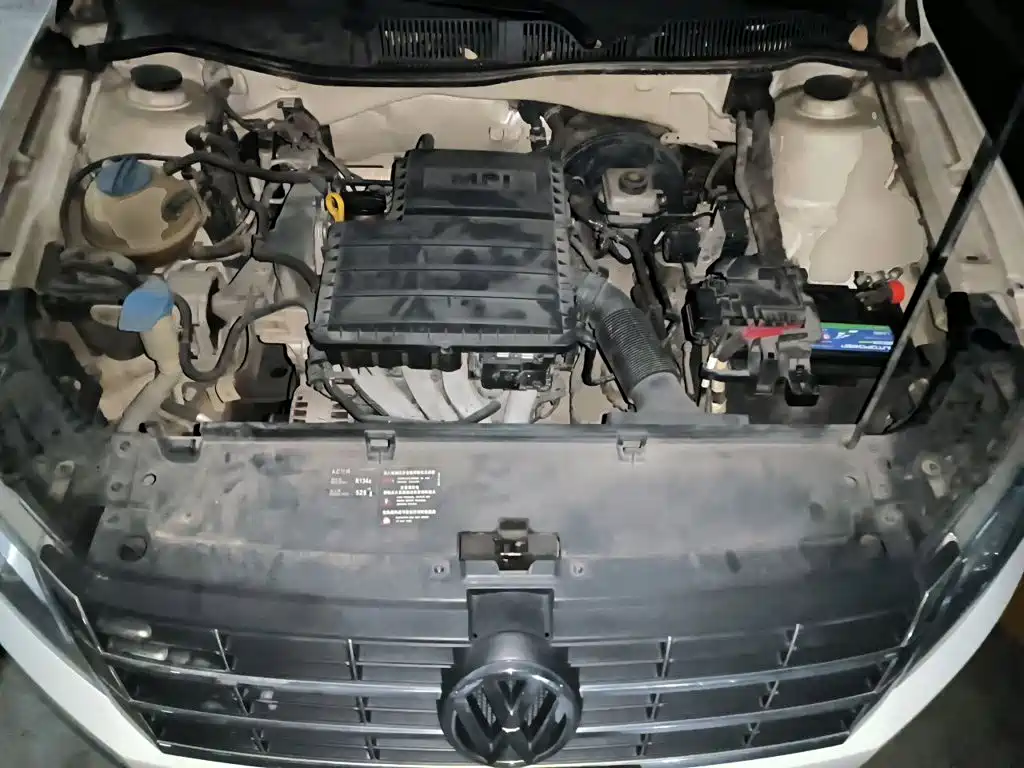 Volkswagen Gran Lavida — миниатюра 16